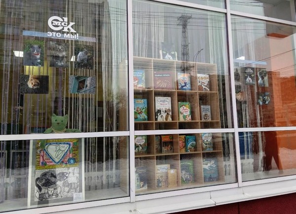 Коты с омским характером