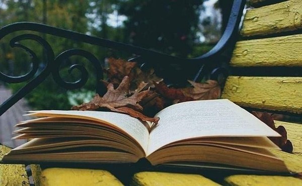 Выставка «Очарование забытых книг»