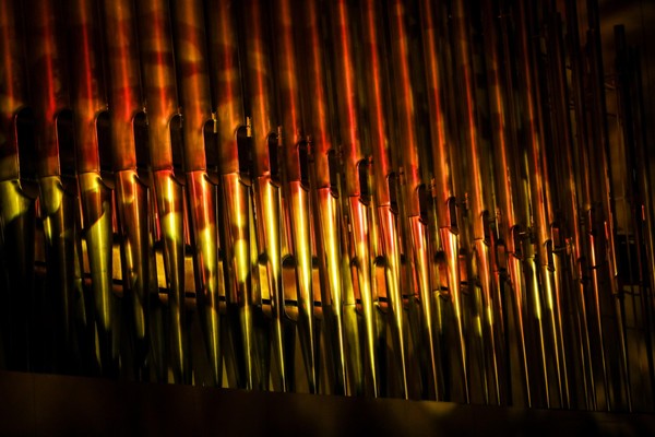 Концерт «Брукнер – 200». Орган и хор»