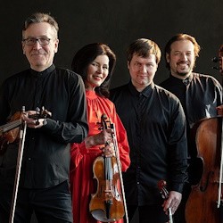 Чешские страницы