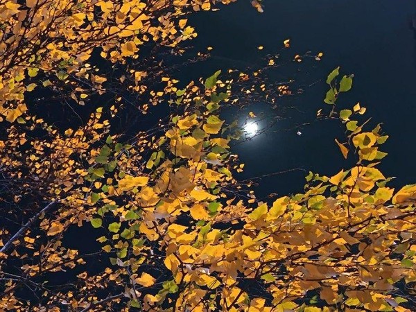 Мастер-класс «Луна»