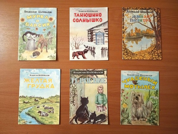 Урок доброты «Человечность в книгах Шаповалова»