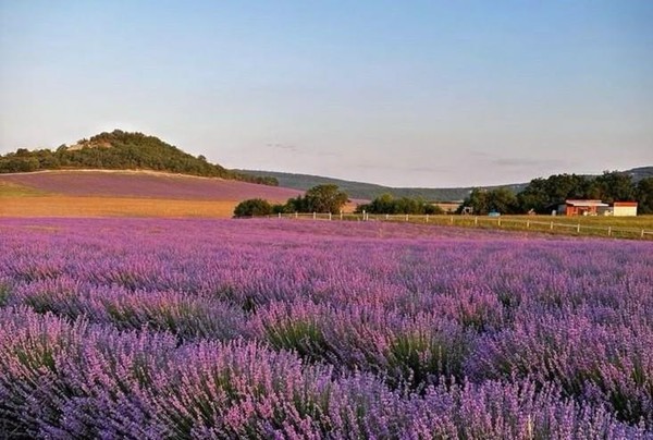Концерт «О, как воспеть мне эту землю…»