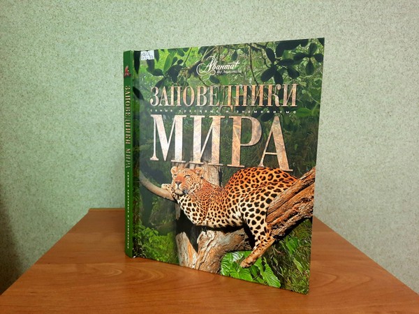 Экологическое видеопутешествие «Соседи по планете»