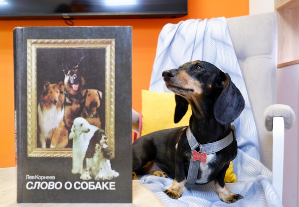 Познавательный час «Наши верные друзья»