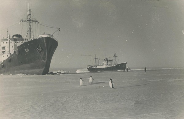 «К берегам Антарктиды»