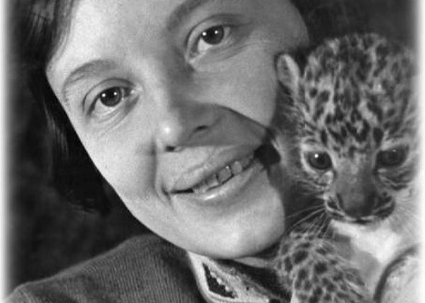 Библиотечный зоопарк «Весёлый зоопарк Веры Чаплиной»