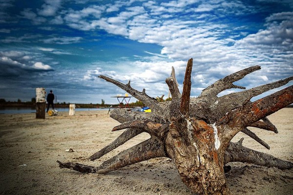 Фотовыставка «Призма-2025»