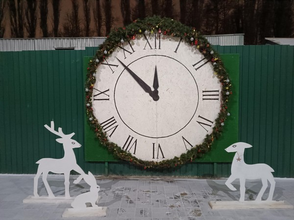 Снежинка для зоопарка