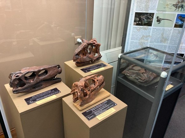 Выставка «Древняя жизнь»