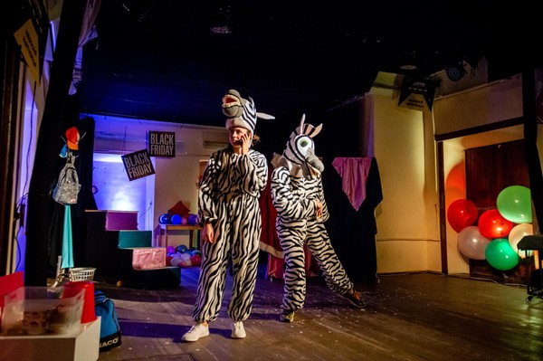 Спектакль «Зебры не ржут»