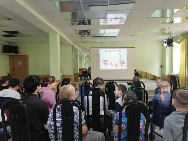 «Эти забавные животные» фото- выставка, посвящена дню домашних животных