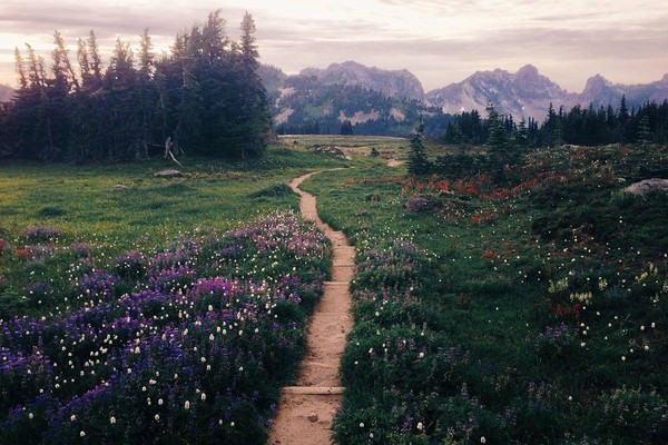 Концерт «Путешествие по миру музыкального искусства»