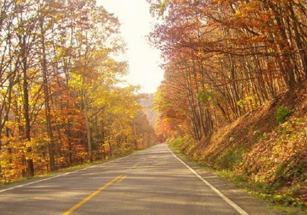 Концерт «Осени чудной прощальные дни»