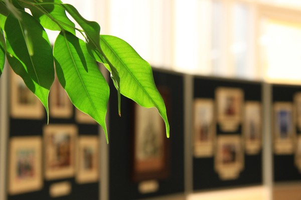 Лекция «Путешествуем по музеям Мордовии»