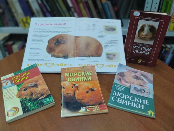 Час общения «Заморское чудо»