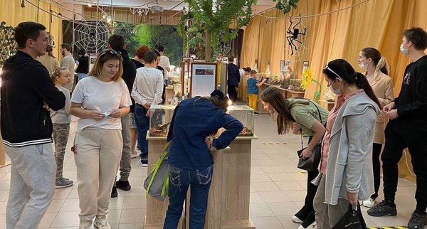 Выставка «Экзотический мир дома»