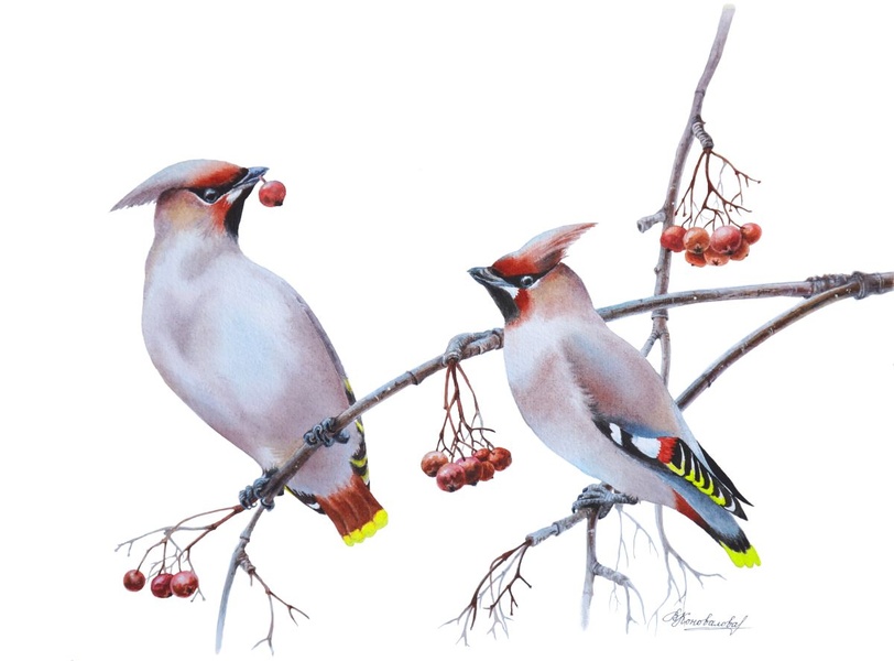 Выставка "Флора и фауна России"