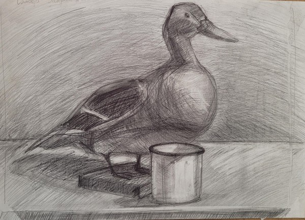 От линии к форме