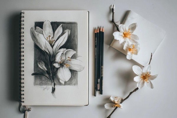 Мастер-класс по графическому рисунку