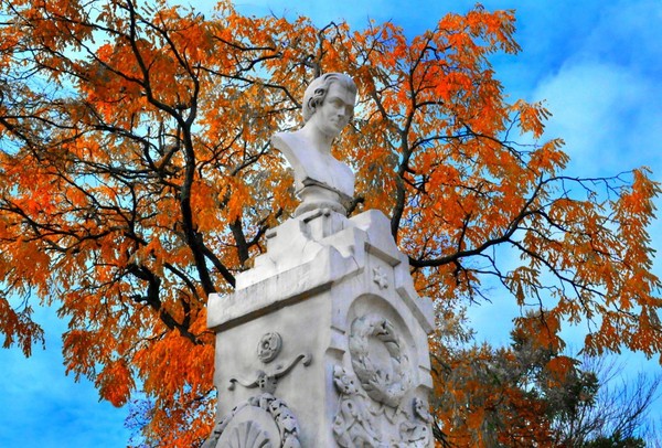 Программа «Город с именем Кольцова»