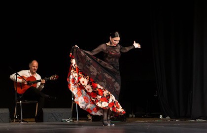 Фламенко. В ритме огня