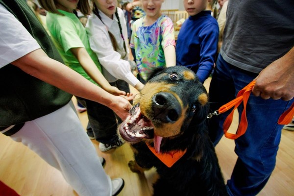 Хвостатые чтения и обнимашки с собаками