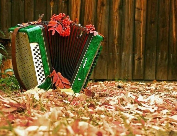 Концерт «С гармошкой по жизни»