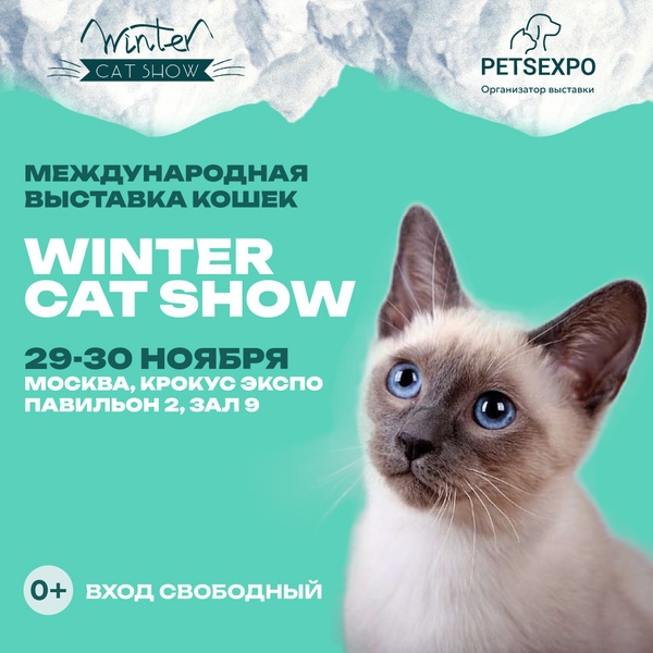 Winter Cat Show 2025