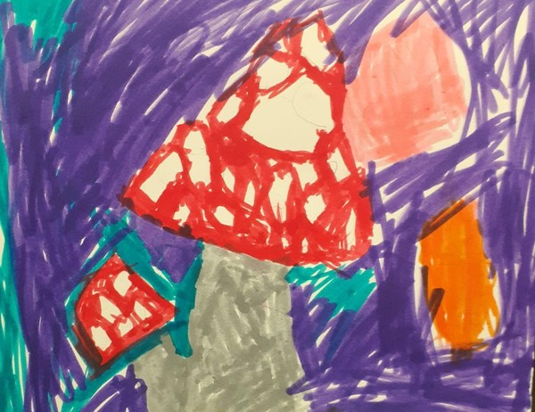 Виртуальная выставка «Такие разные грибы»