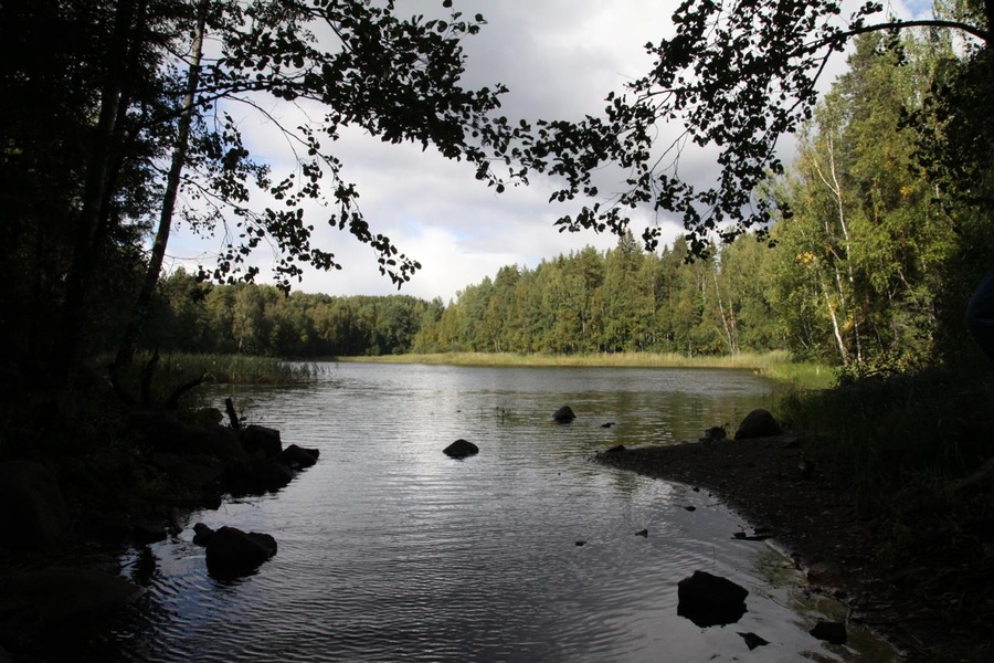 Природа Вуоксы. Удивительный мир главной реки Карельского перешейка