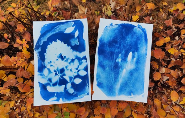 Мастер-класс по цианотипии «Отпечаток светом»