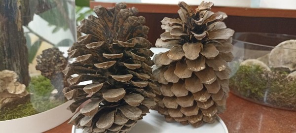 Выставка «Закружилась в природе осень»