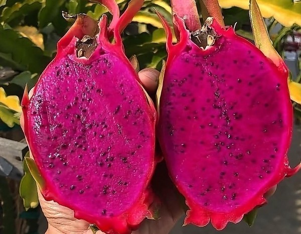 Классный час «Классный красный!»