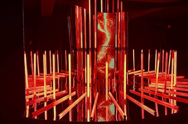 Sense. Почувствуй стихии