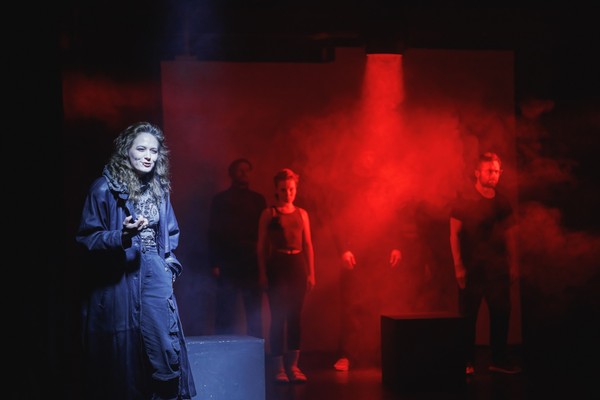 Звериные истории