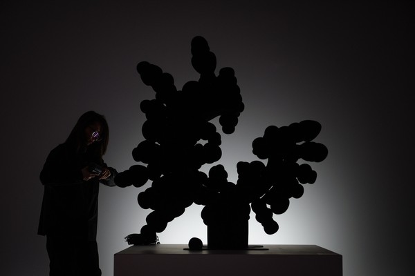 Эмерджентные мифологии: архаика в эпоху цифрового кода