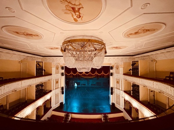 Фиалка Монмартра