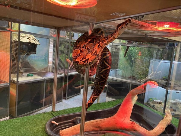 День матери