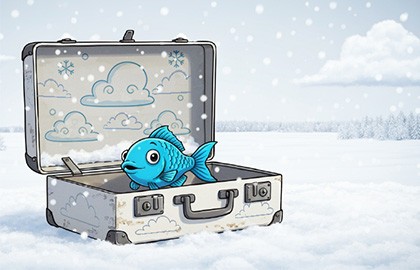 Как корюшка в Сибирь попала