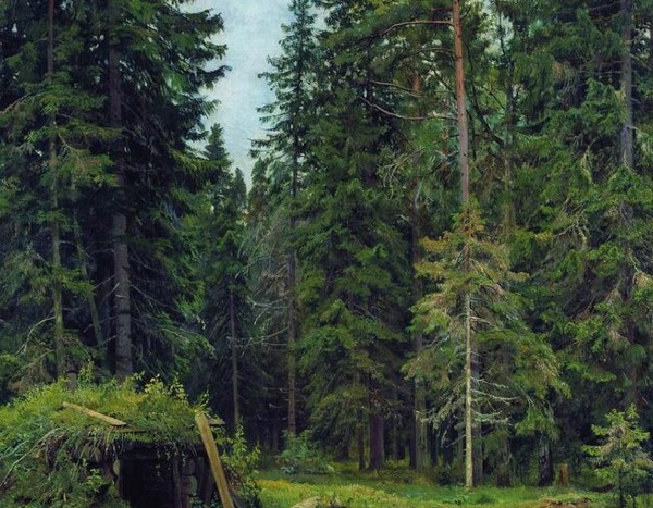 Арт-медиация «Природа. Лирика и физика»