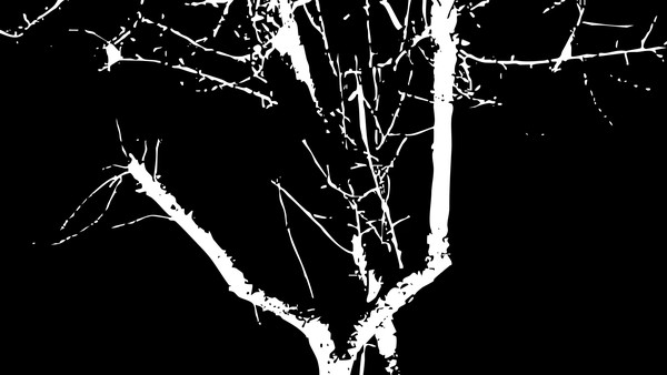 Сибирская готика