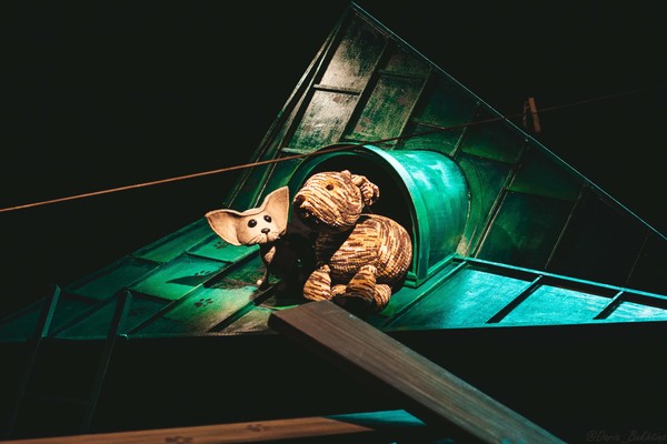 Котенок по имени Гав