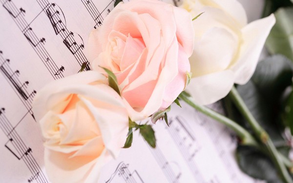 Концерт класса Л. Соколоверовой