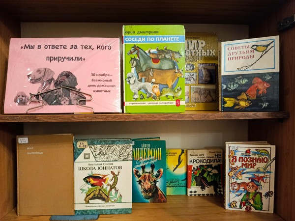 Выставка «Мы в ответе за тех, кого приручили»