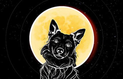 Звёздные псы