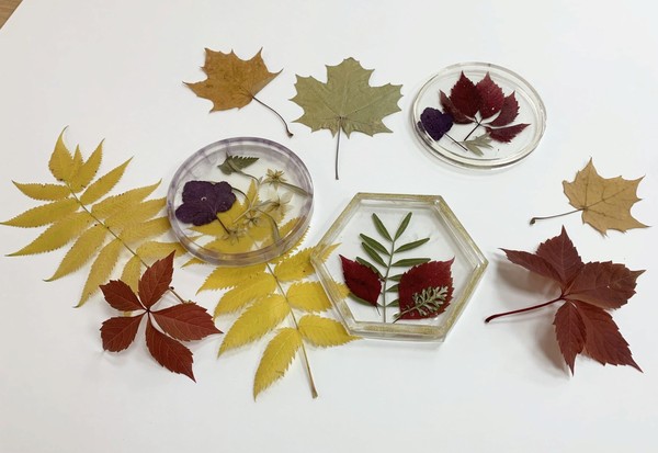 Мастер-класс «Осень в Татарстане»