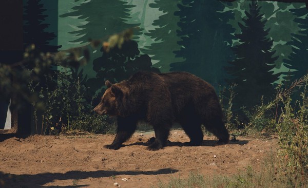 Сила народа в единстве культур