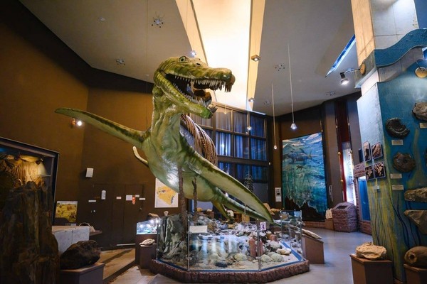 Ночь искусств 2025 в Самарском областном историко-краеведческом музее им. П.В. Алабина