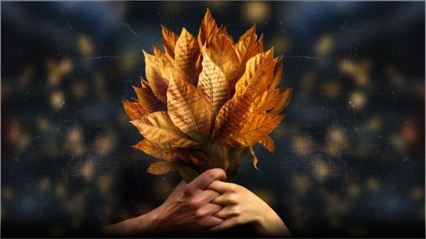 Спектакль «Анна в тропиках»